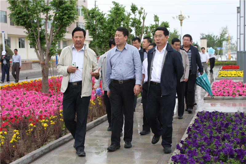 2-市县领导莅临沙河绿岛检查指导工作.jpg