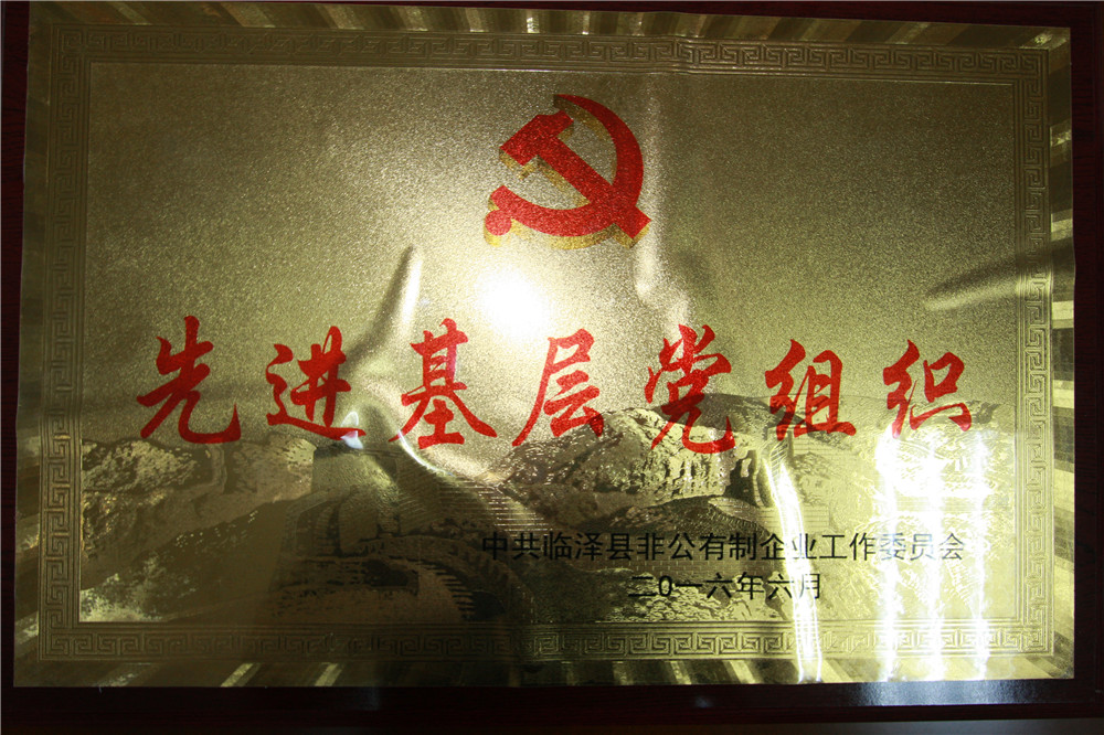 2016年6月先进基层党组织.jpg